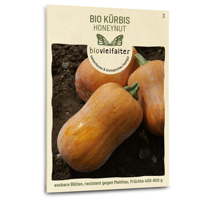 plantura-bio-k-rbis-honeynut-bio-saatgut image 1
