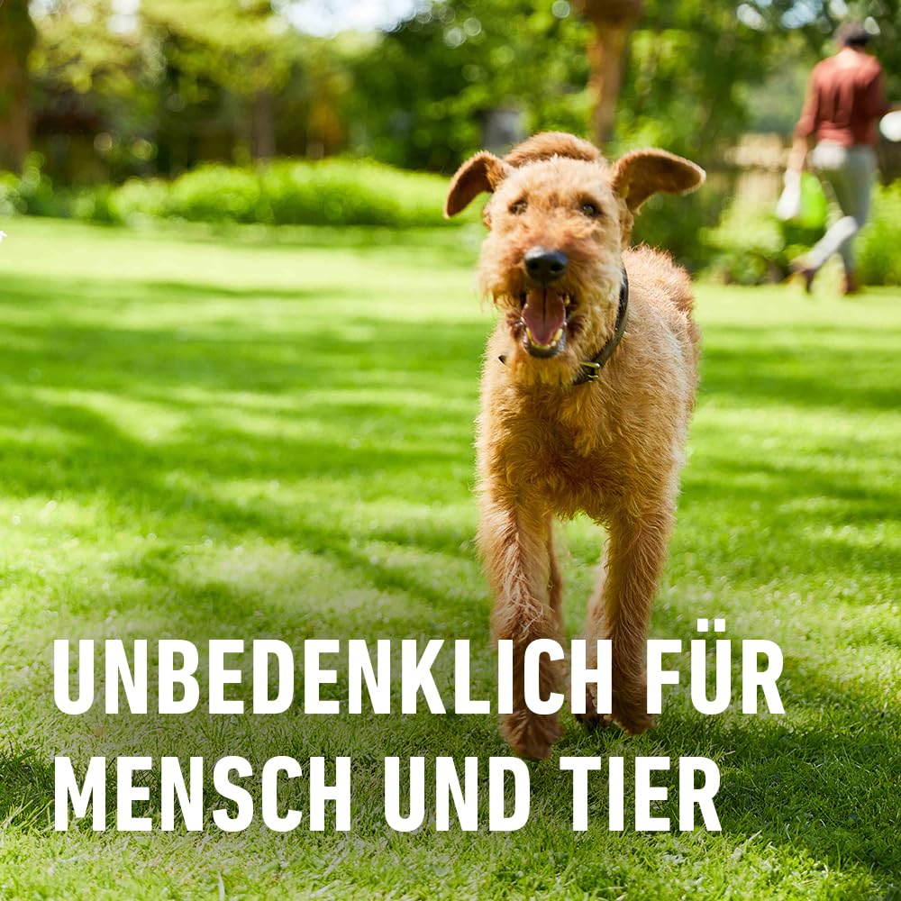 compo-rasen-langzeitd-nger-3-monate-20-kg-f-r-800-m image 8