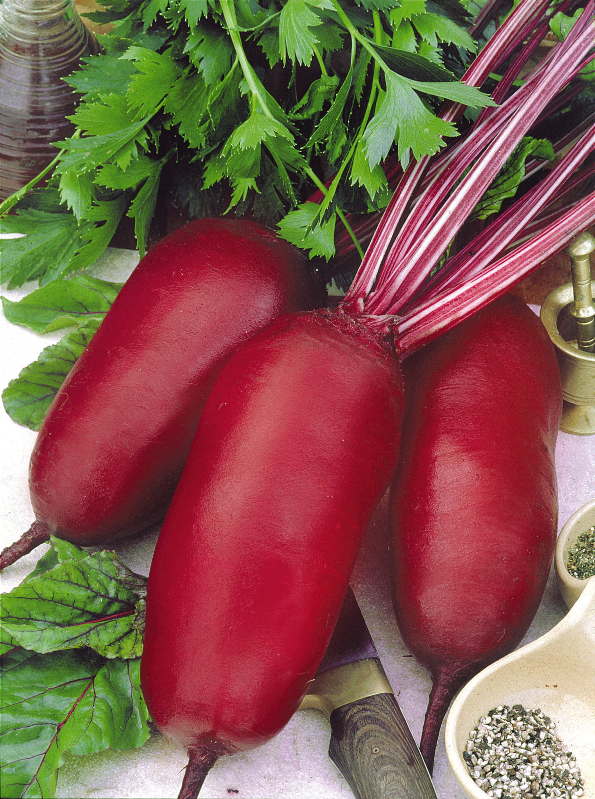 plantura-bio-rote-beete-cylindra-lang-bio-saatgut image 2