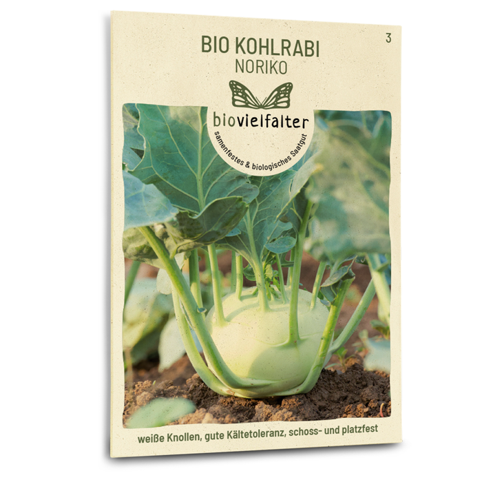 plantura-bio-kohlrabi-noriko-bio-saatgut image 1