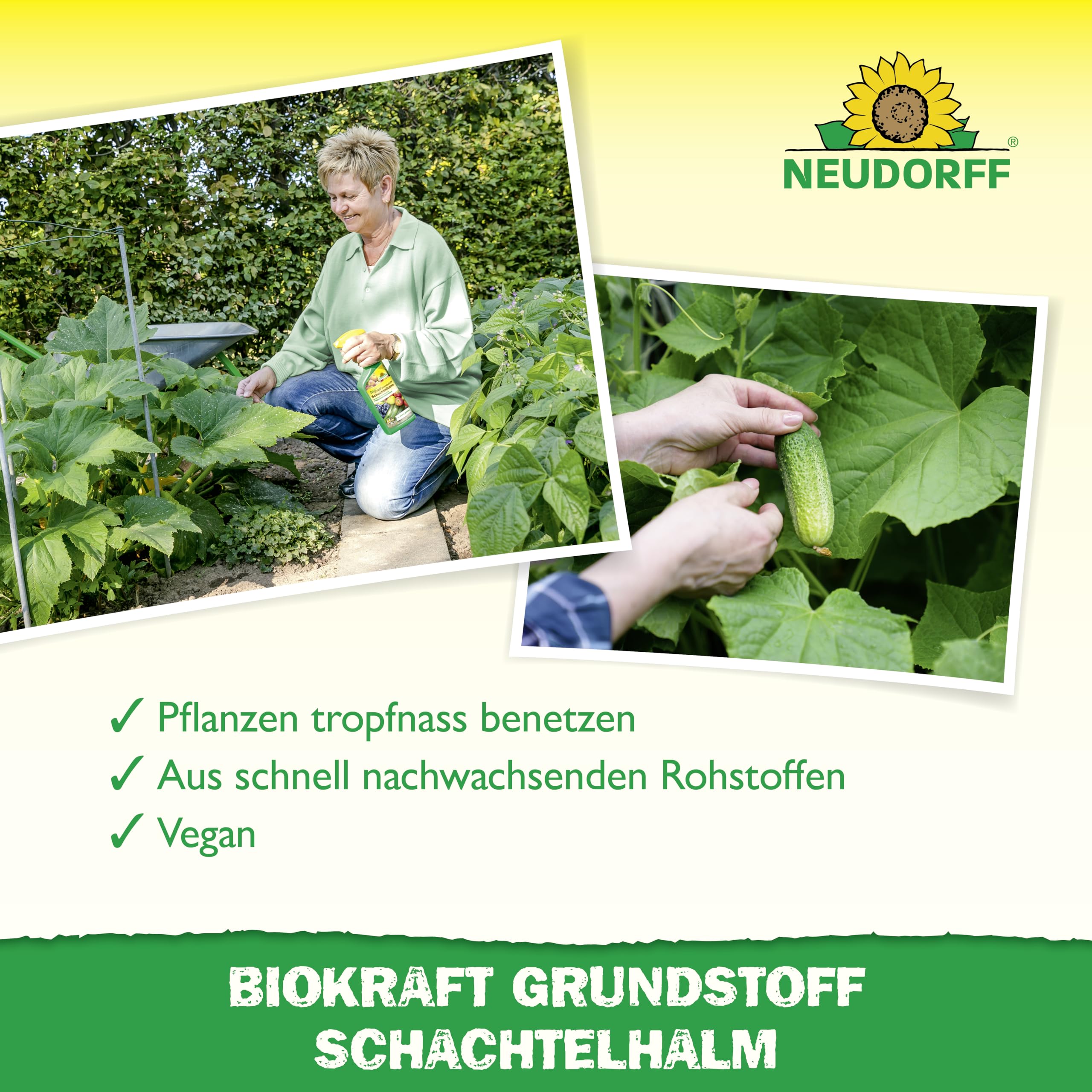 neudorff-biokraft-grundstoff-schachtelhalm-pilzspray-500-ml image 5