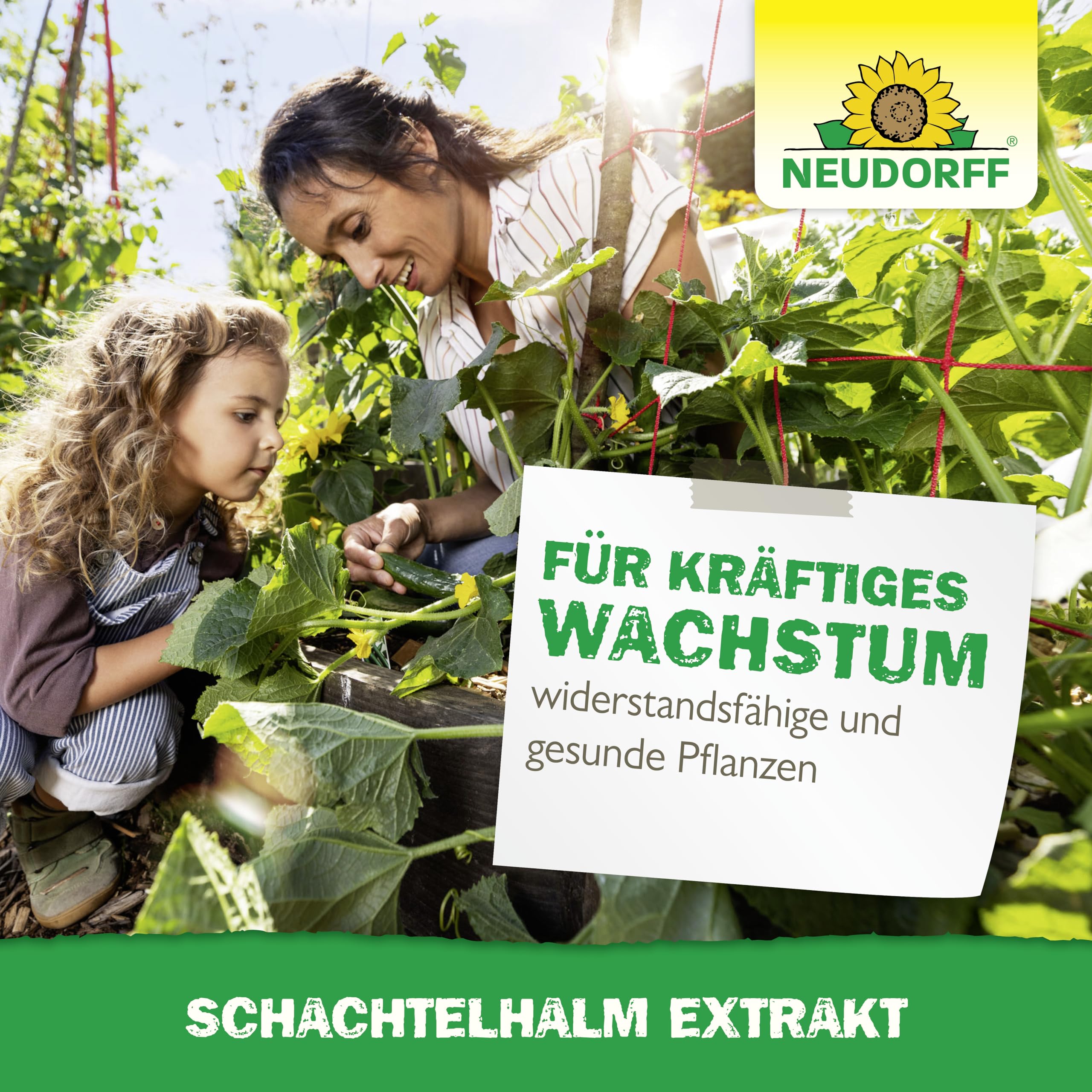 neudorff-schachtelhalm-extrakt-250-ml-kr-uterextrakt-pflanzenst-rkung image 6
