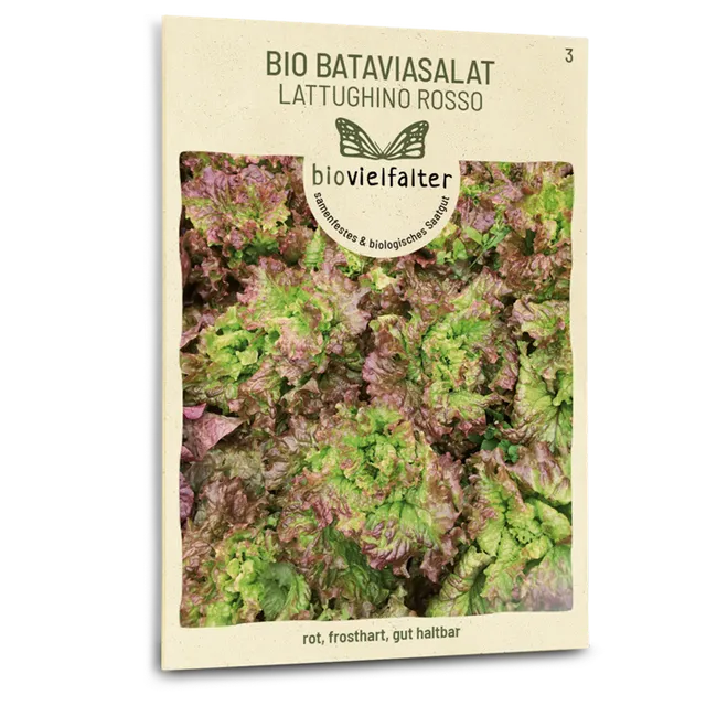 plantura-bio-bataviasalat-lattughino-rosso-saatgut image 1
