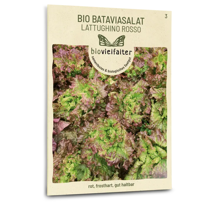 plantura-bio-bataviasalat-lattughino-rosso-saatgut image 1