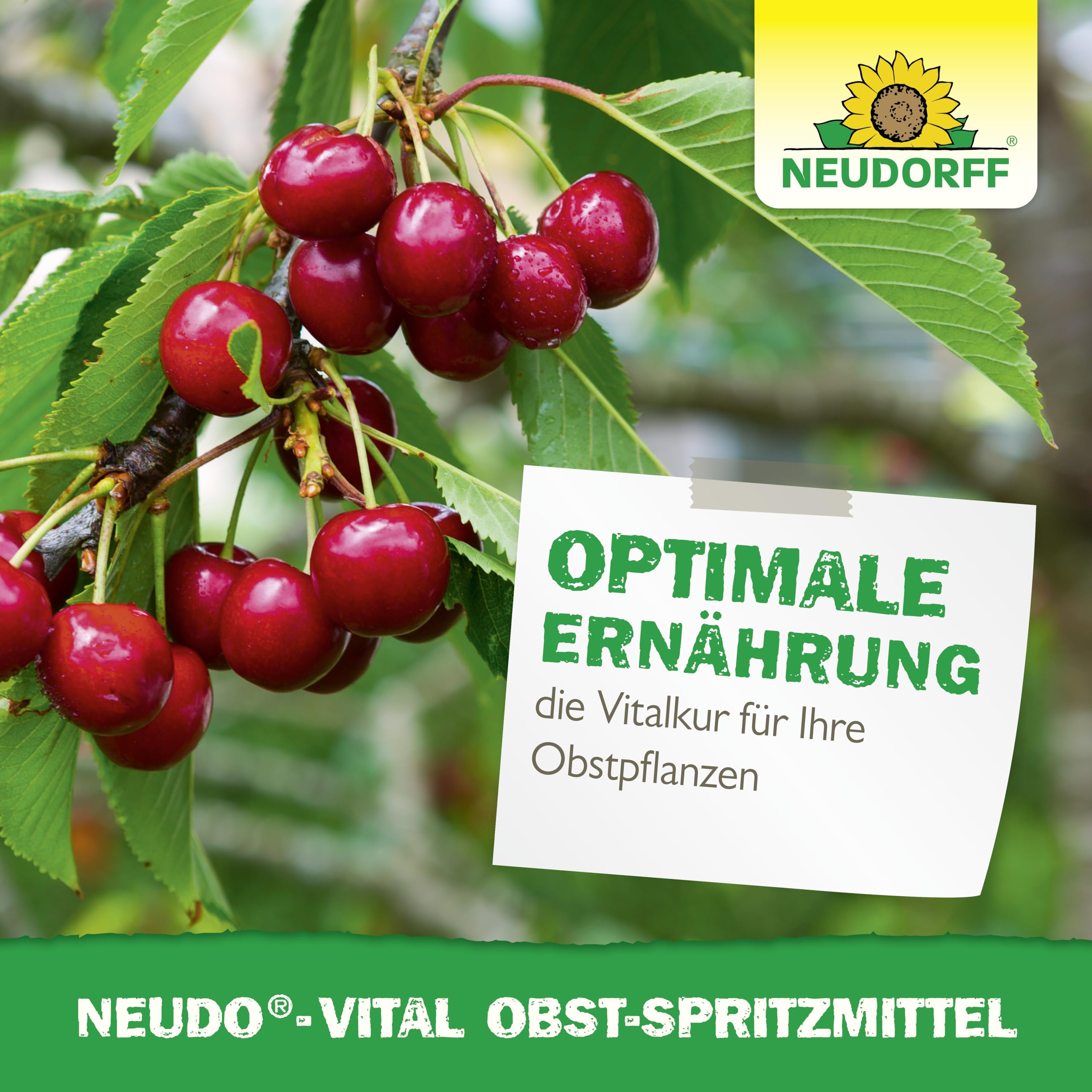 neudorff-neudo-vital-obst-spritzmittel-250-ml-konzentrat image 6