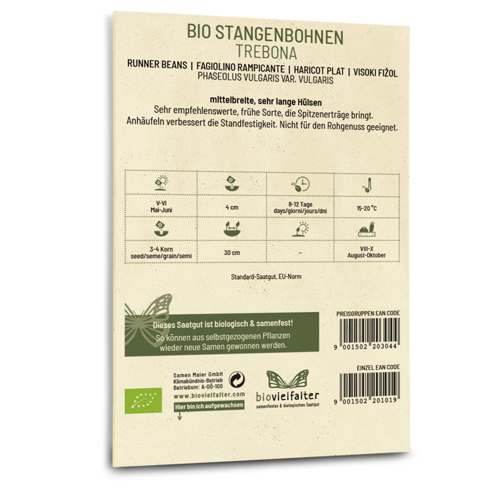 plantura-bio-stangenbohne-trebona-bio-saatgut image 3