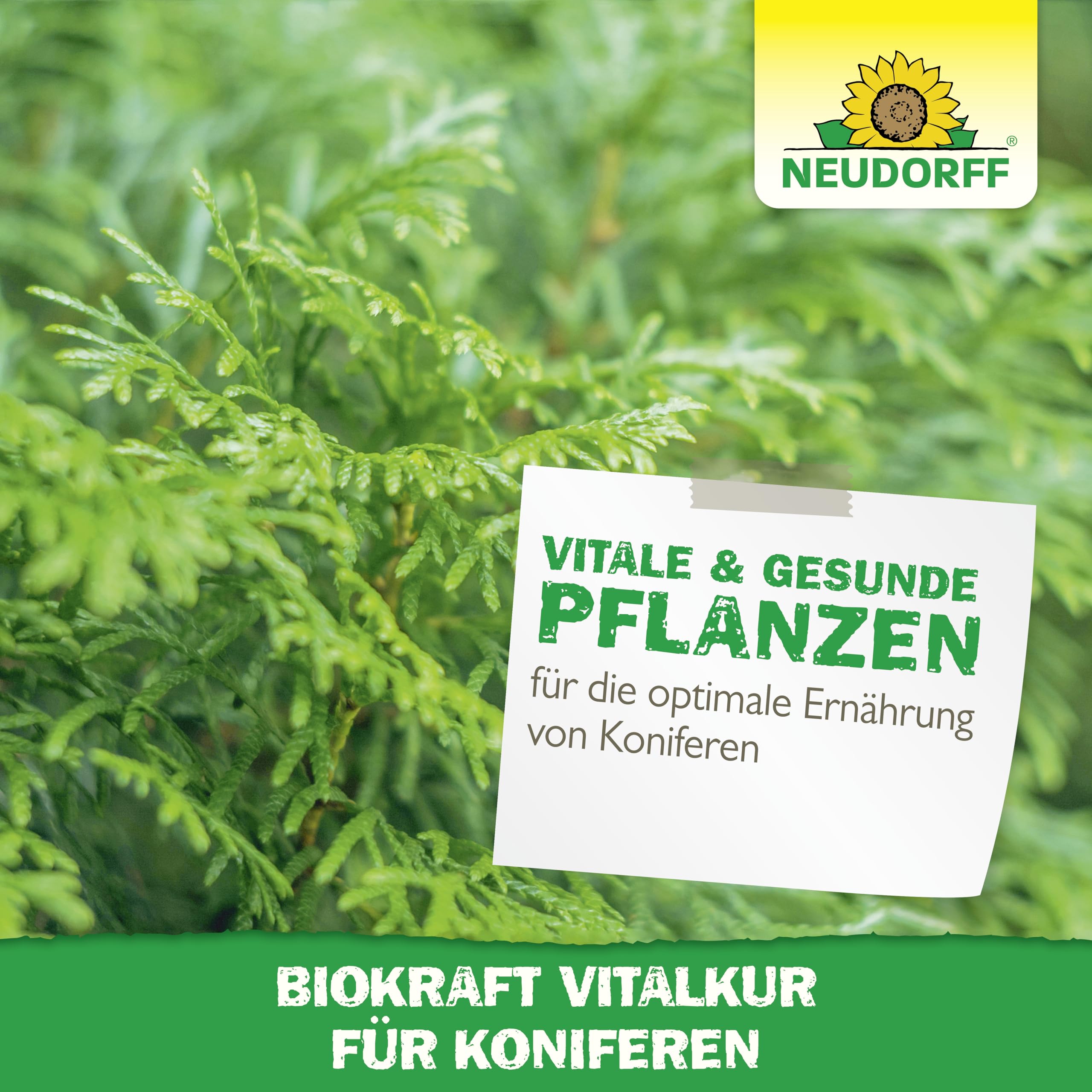 neudorff-biokraft-vitalkur-f-r-koniferen-konzentrat-300-ml image 6