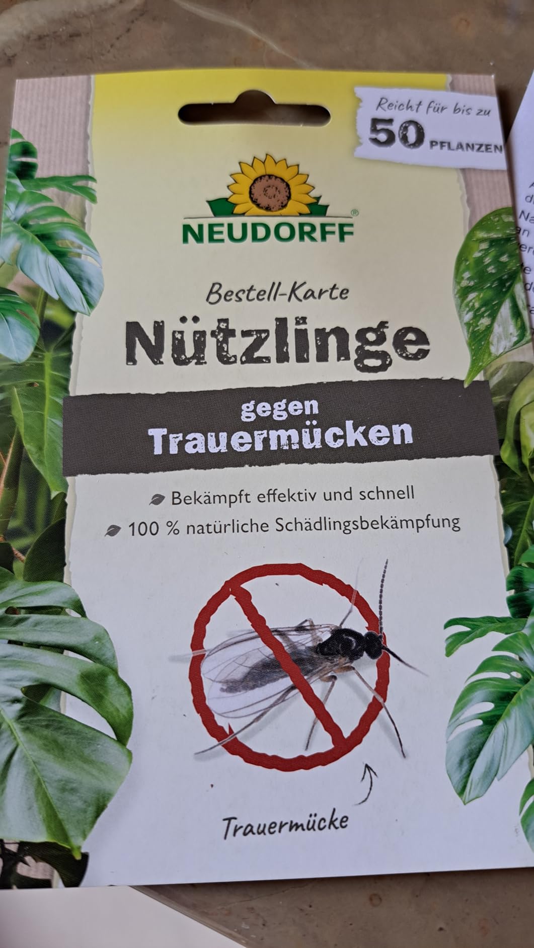 Junge Pflanzenliebhaberin ist happy