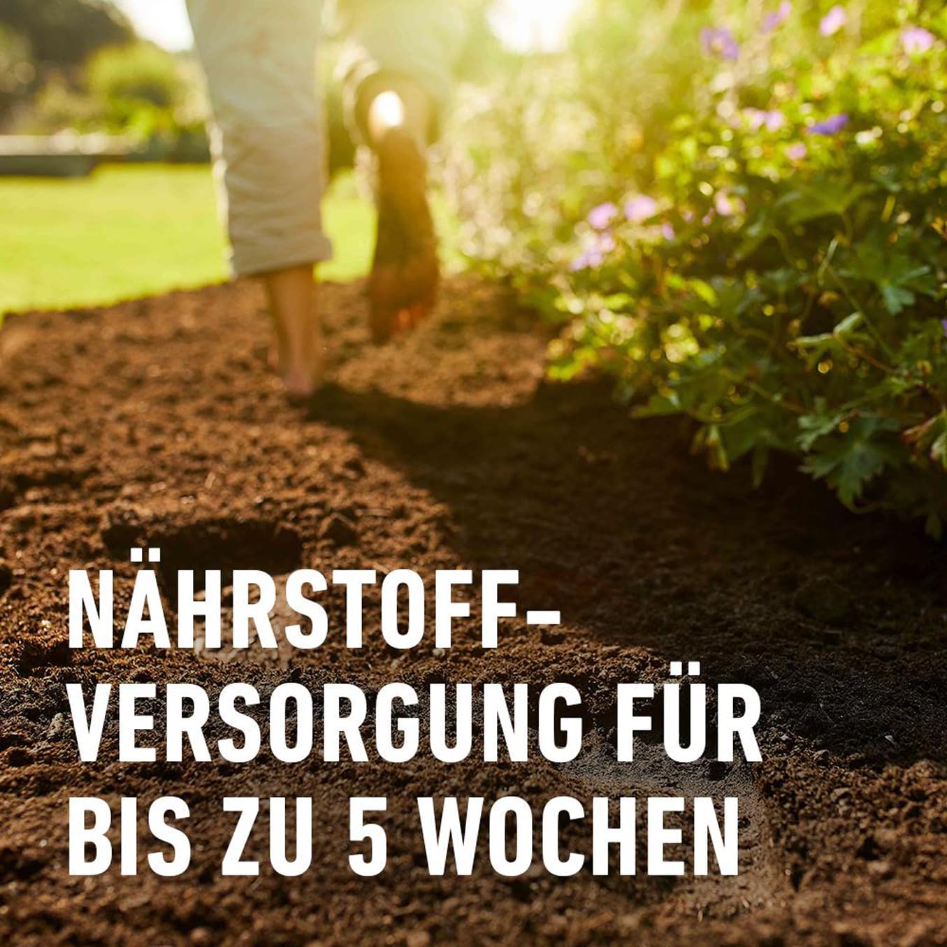 compo-bio-universal-erde-torffrei-40-l-pflanzerde image 3