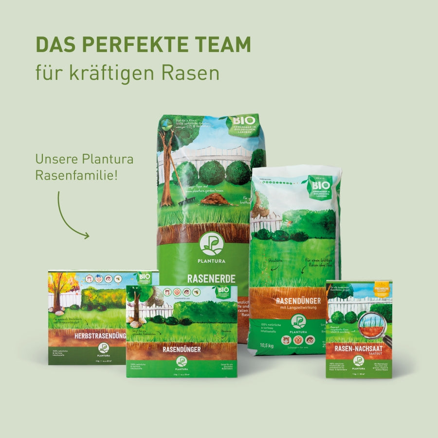 plantura-schattenrasen-2-kg-spezialmischung image 8