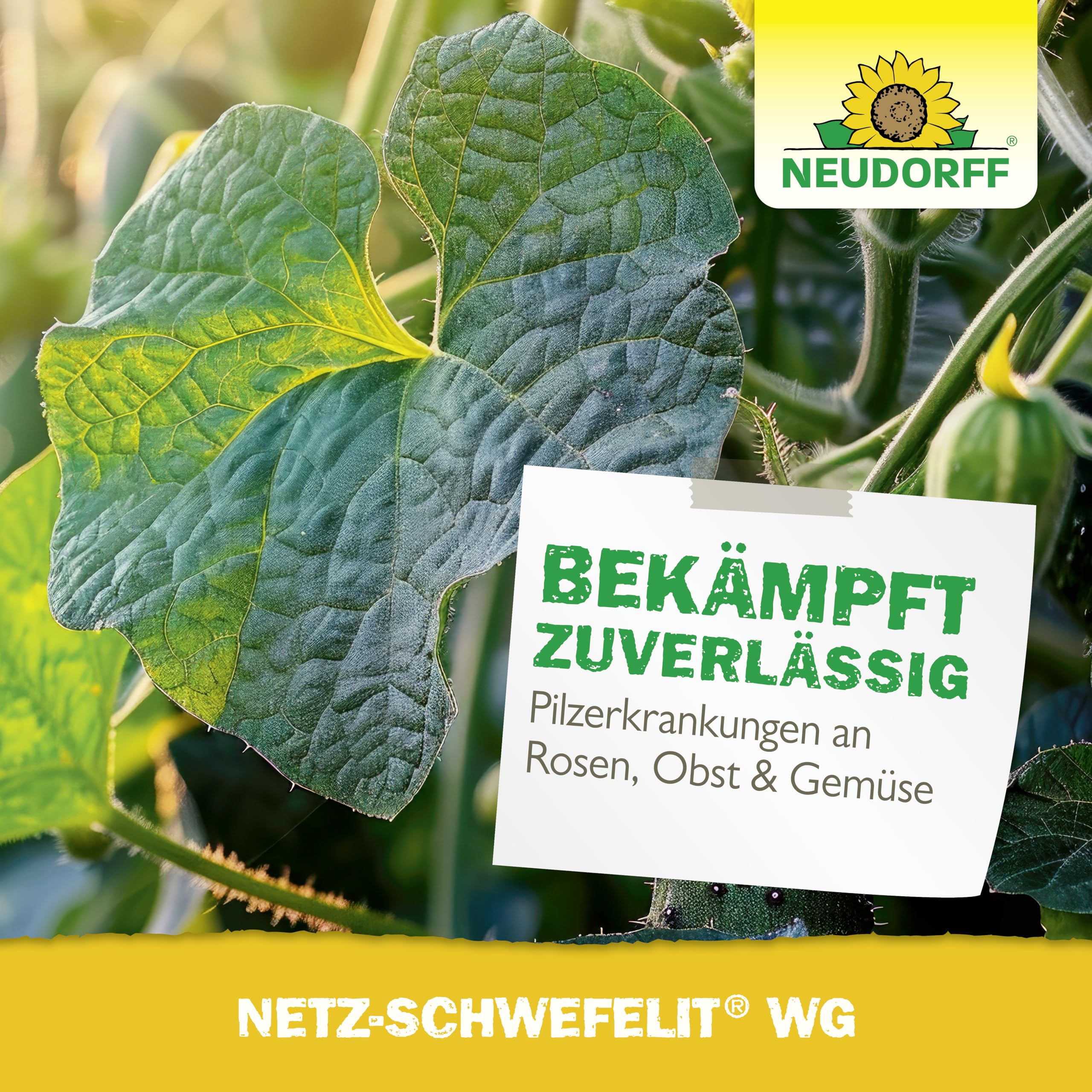 neudorff-netz-schwefelit-wg-mehltau-spritzmittel-75-g image 6