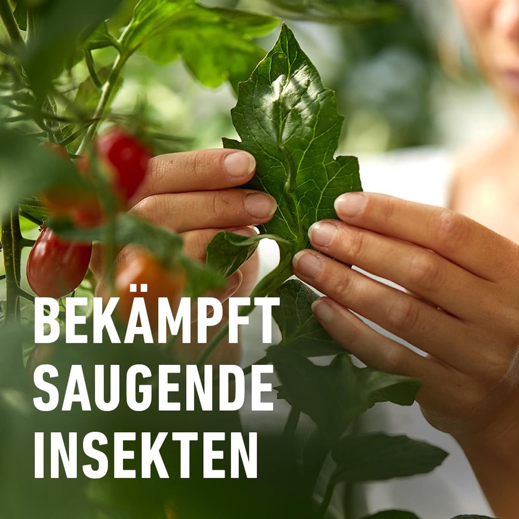 compo-sch-dlings-frei-plus-konzentrat-100-ml-insektizid-gegen-blattl-use-wolll-u image 3