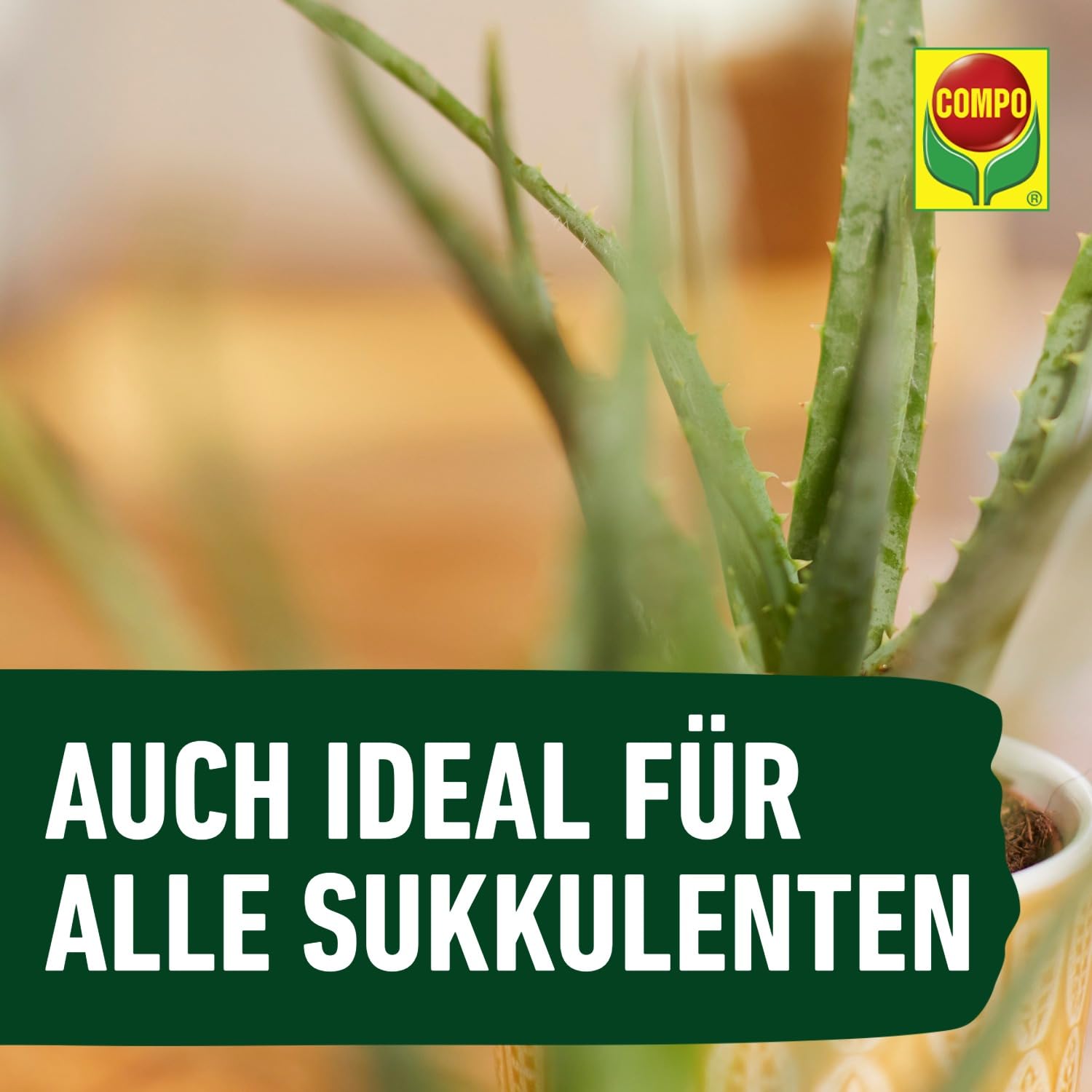 compo-kakteen-und-sukkulentend-nger-250-ml-fl-ssigd-nger image 6
