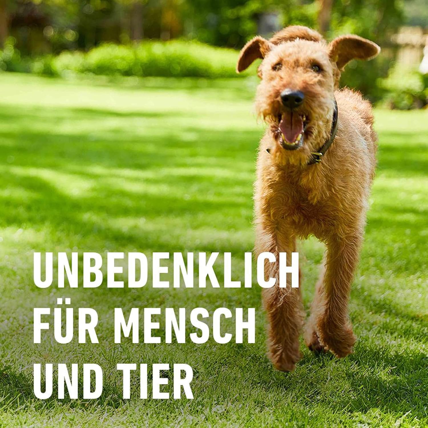 compo-bio-herbst-rasend-nger-20-kg-f-r-400-m image 5