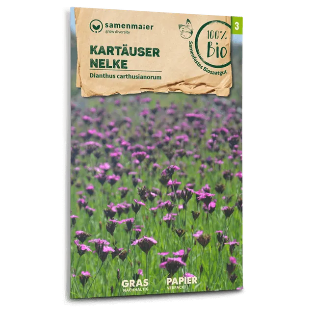plantura-bio-kart-user-nelke-wildblume-saatgut image 1