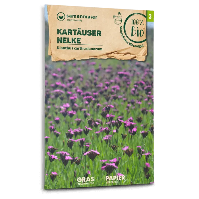 plantura-bio-kart-user-nelke-wildblume-saatgut image 1