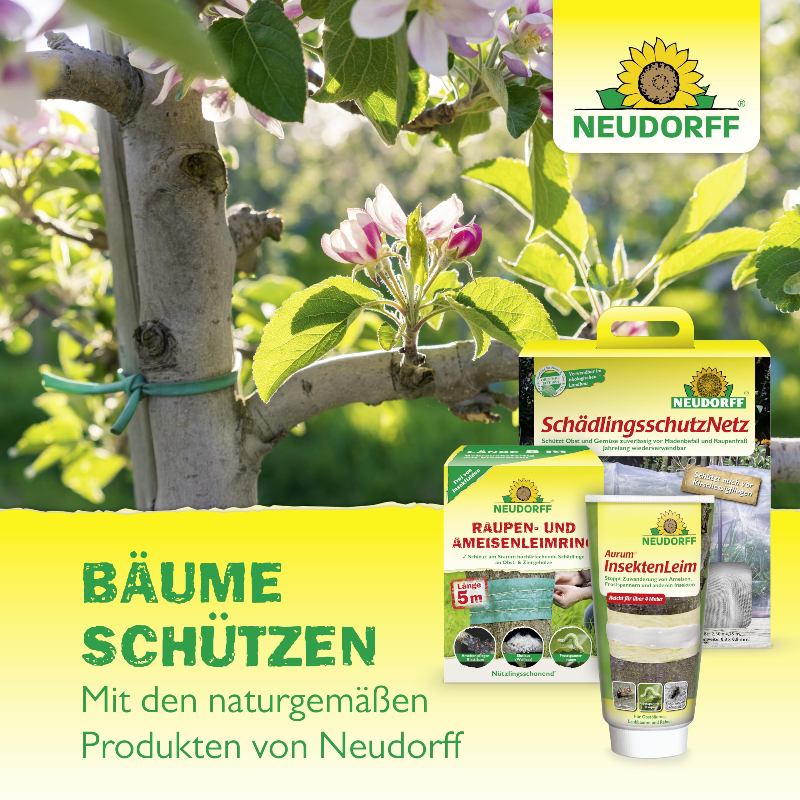 neudorff-kirschmadenfalle-7-st-ck-insektizidfreie-leimfalle-f-r-kirschen-und-wal image 7