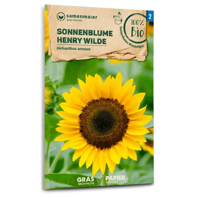 plantura-bio-sonnenblume-henry-wilde-bio-saatgut image 1