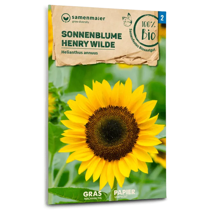 plantura-bio-sonnenblume-henry-wilde-bio-saatgut image 1