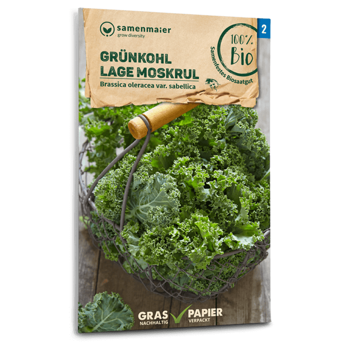 plantura-bio-gr-nkohl-lage-moskrul-bio-saatgut image 1