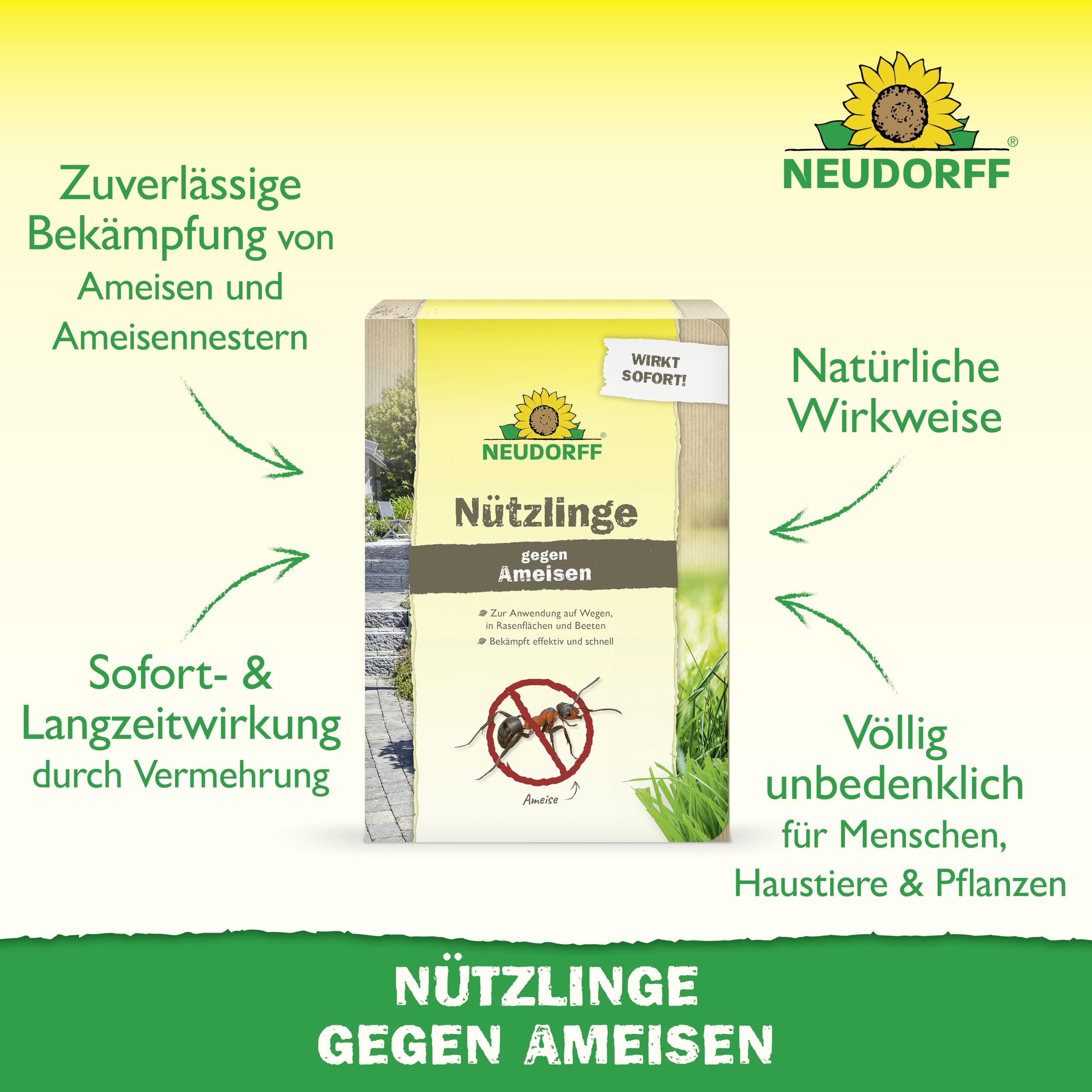 neudorff-n-tzlinge-gegen-ameisen-sf-nematoden-10-mio-f-r-5-nester image 2