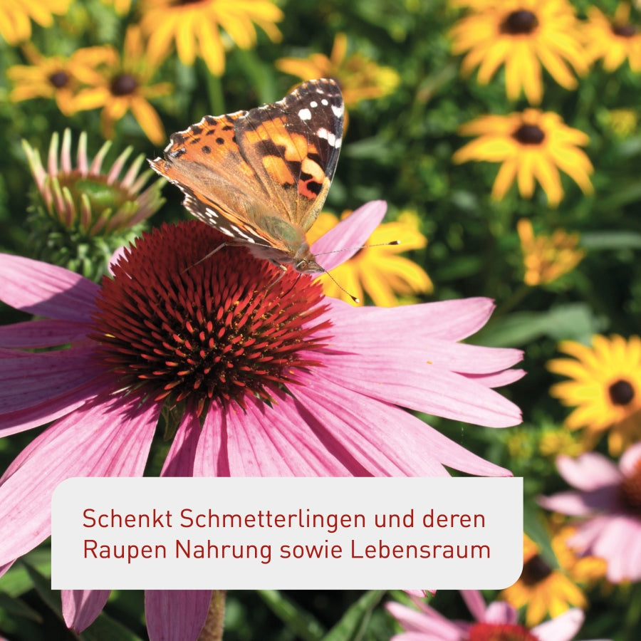 plantura-schmetterlingswiese-150-g-blumenmischung-ber-30-arten image 6