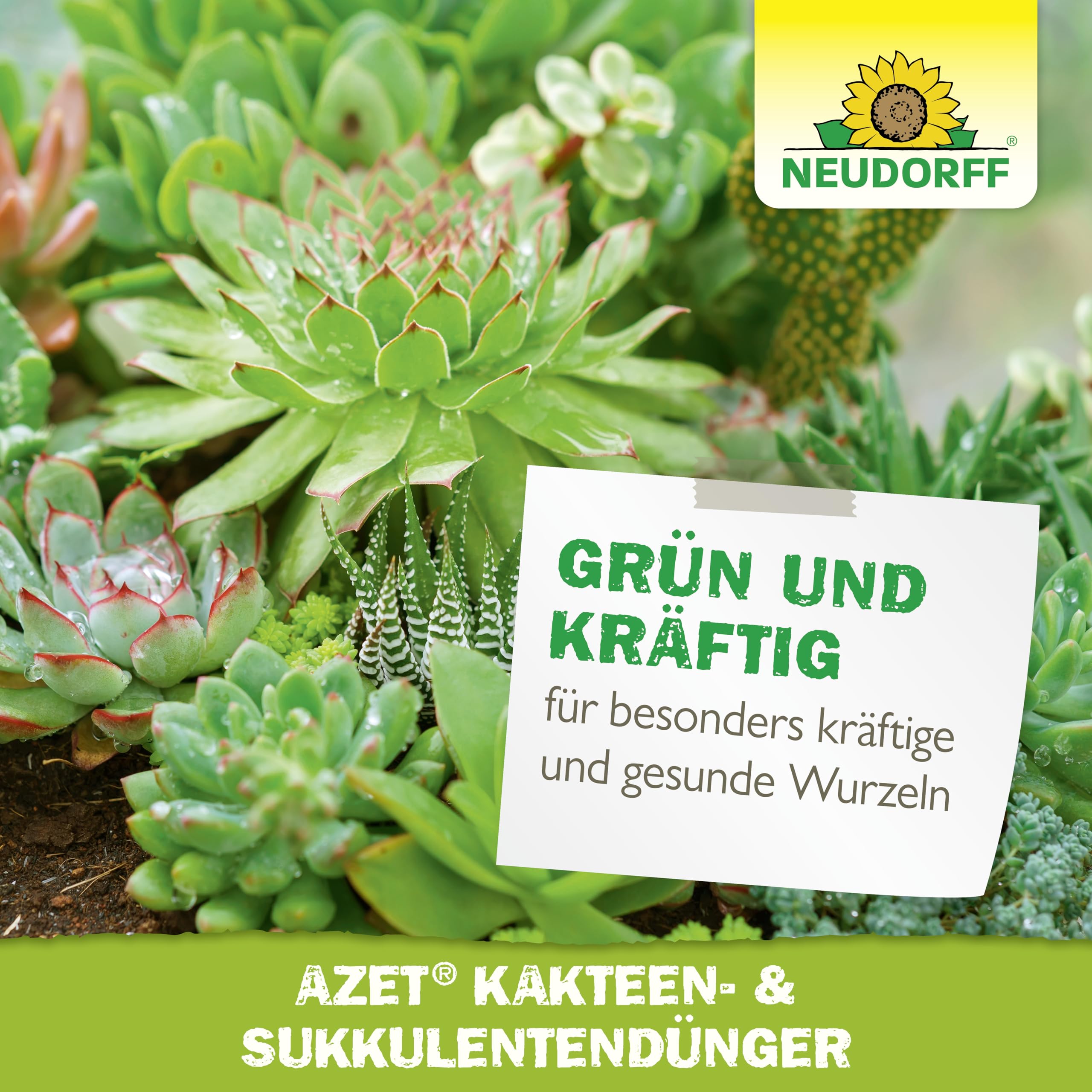 neudorff-azet-kakteen-sukkulentend-nger-bio-fl-ssigd-nger-250-ml image 7