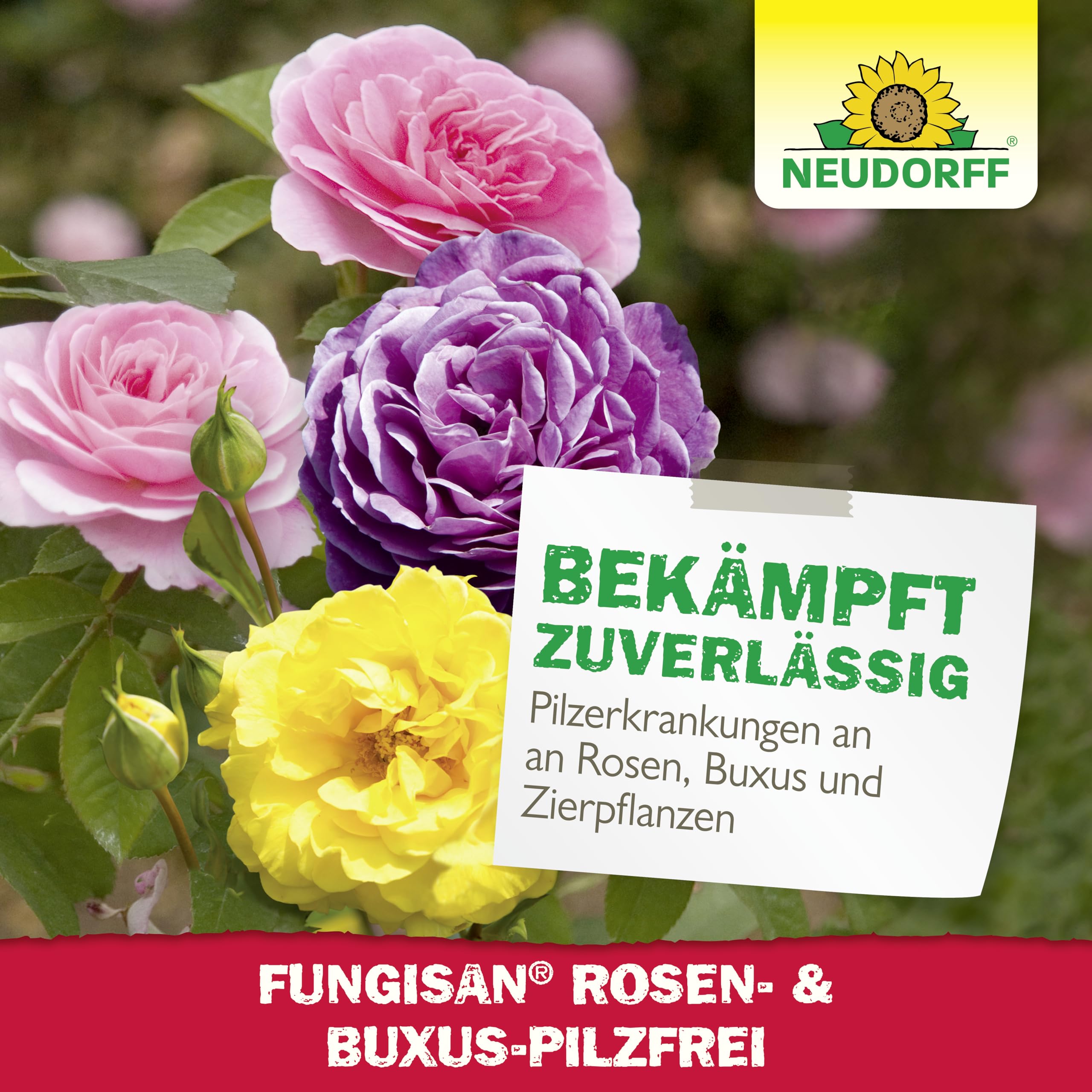 neudorff-fungisan-rosen-und-buxus-pilzfrei-spray-1-l-anwendungsfertig-vegan image 7