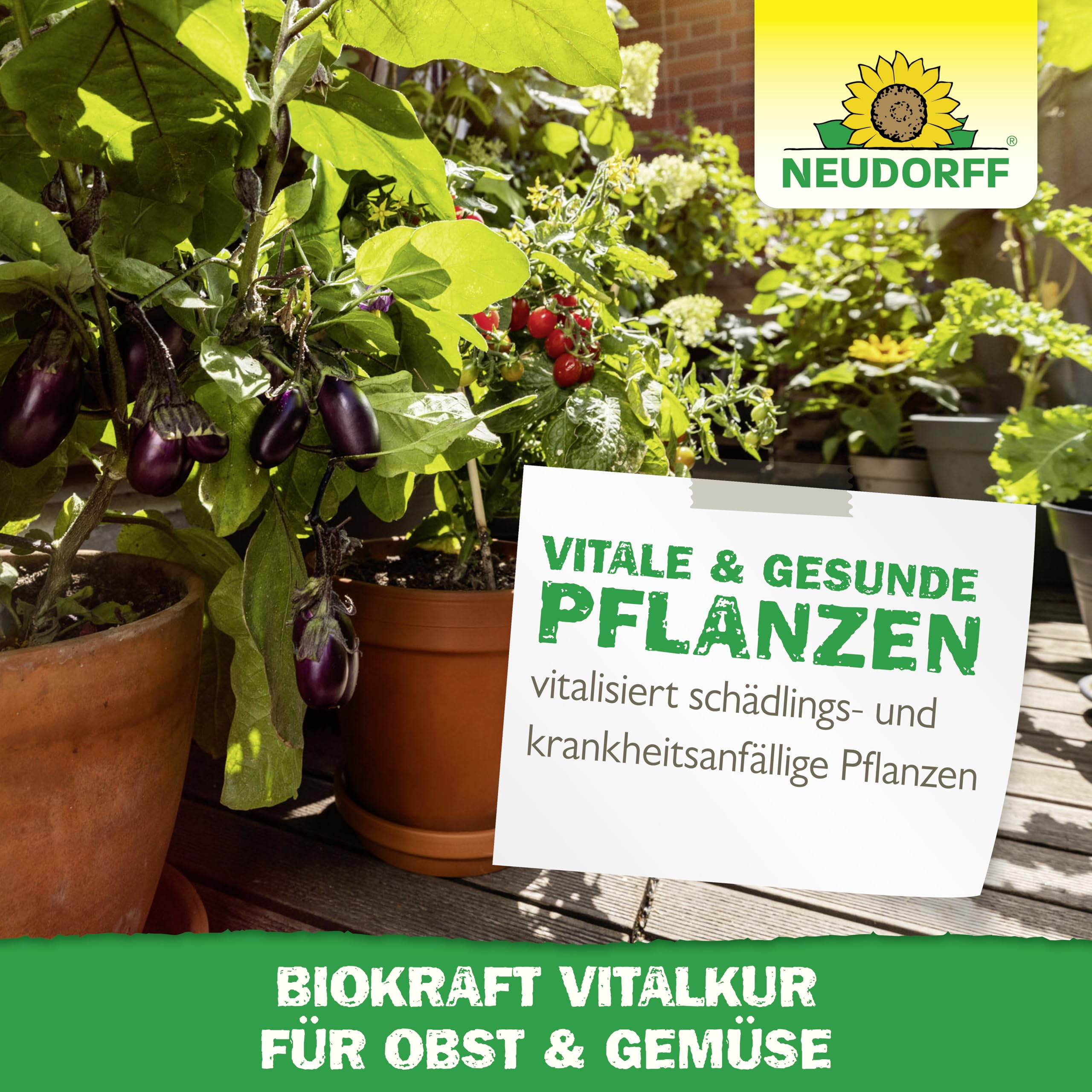 neudorff-biokraft-vitalkur-f-r-obst-gem-se-konzentrat-300-ml image 6