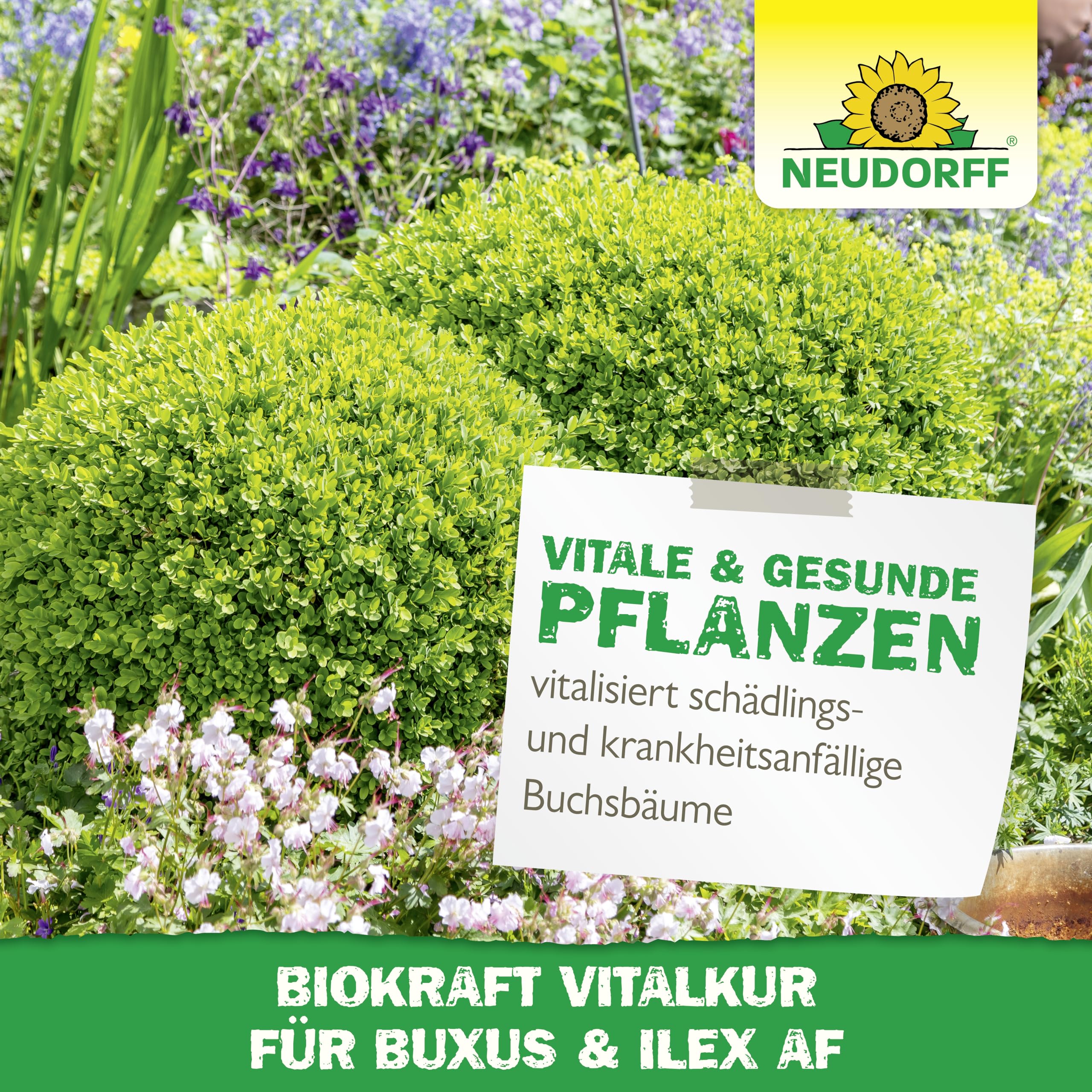 neudorff-biokraft-vitalkur-f-r-buxus-ilex-af-spray-500-ml image 6