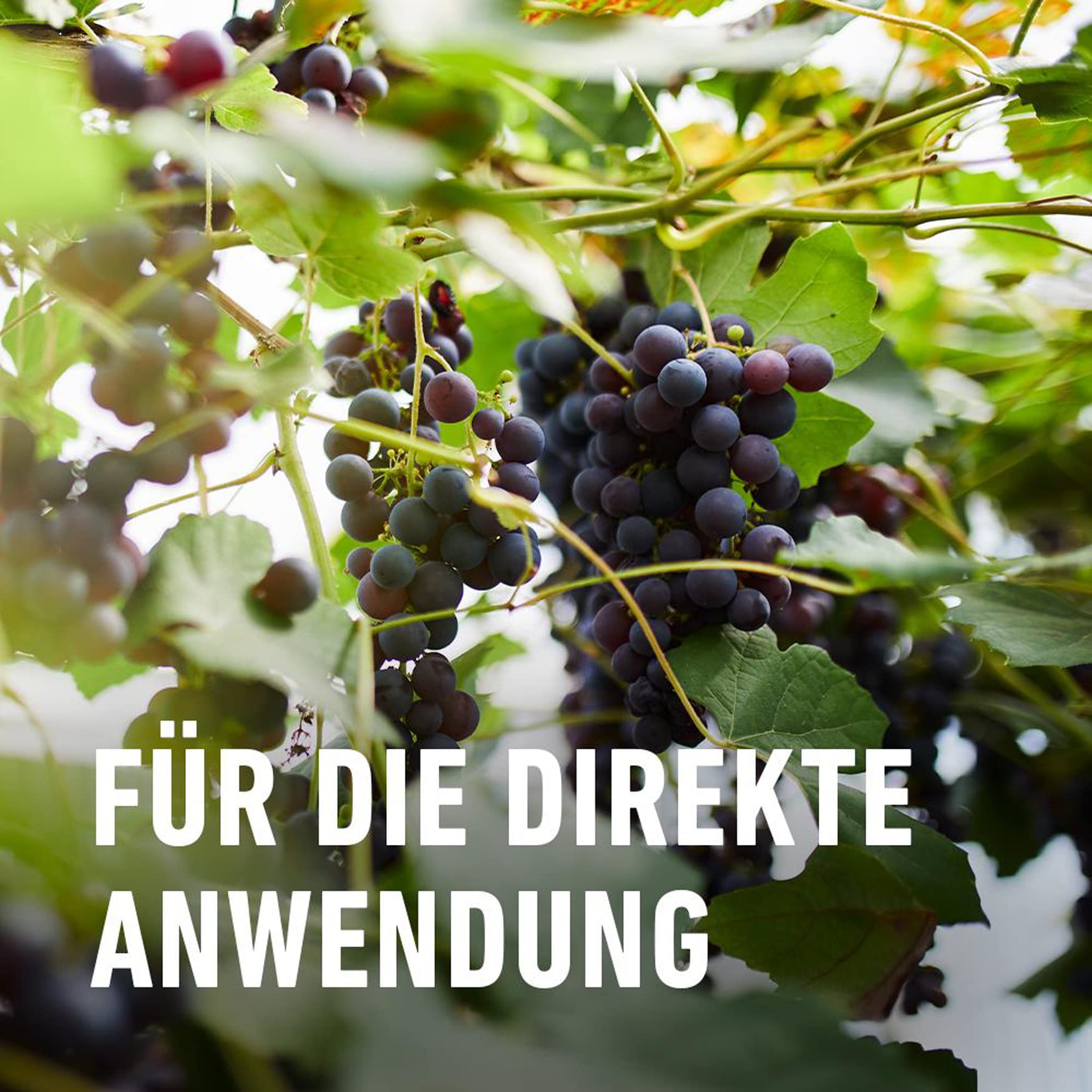 compo-kr-uter-und-gem-se-blattlaus-frei-nativert-af-750-ml image 6