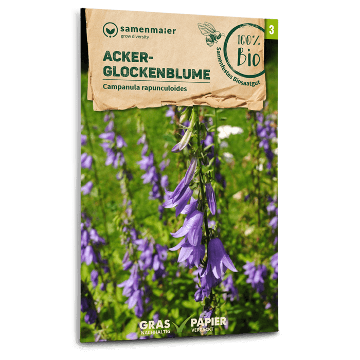 plantura-bio-acker-glockenblume-wildblume-bio-saatgut-campanula image 1