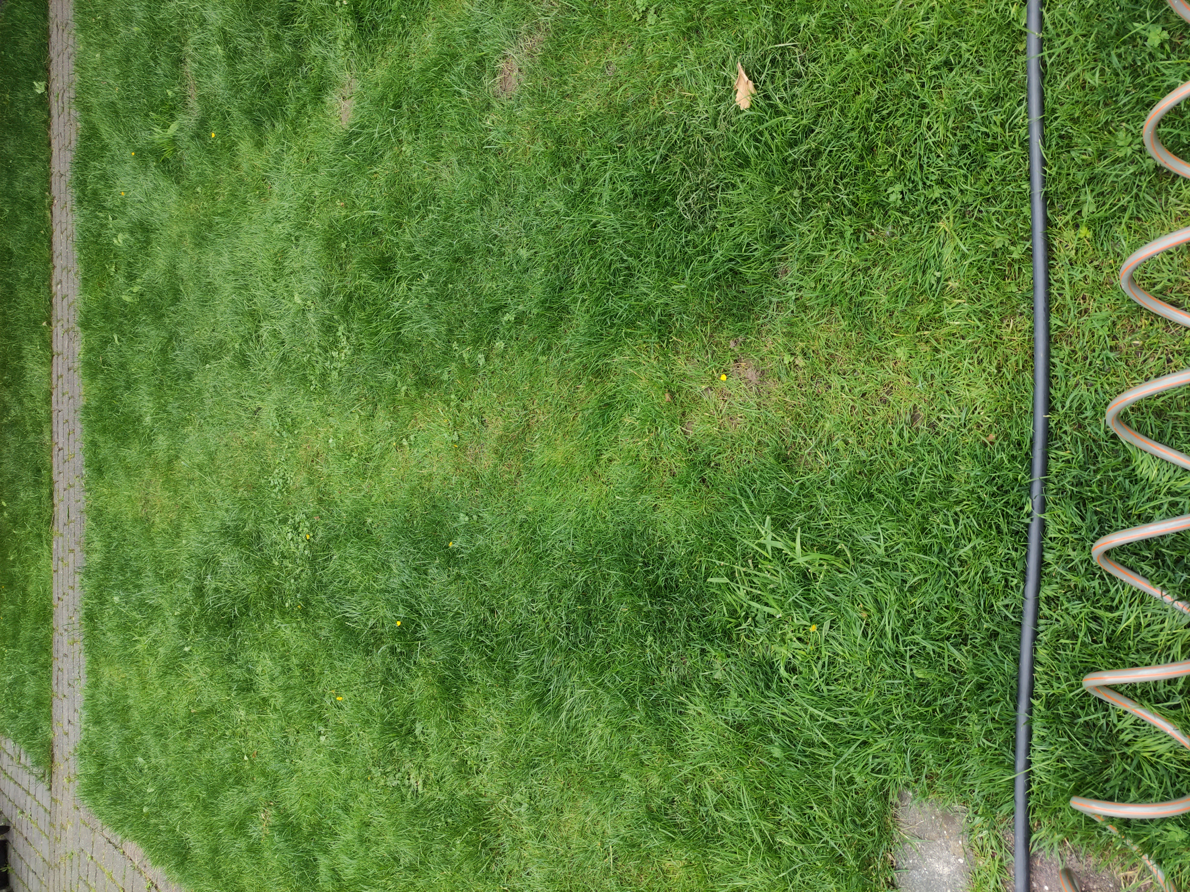 Wirkt langsam aber nachhaltig