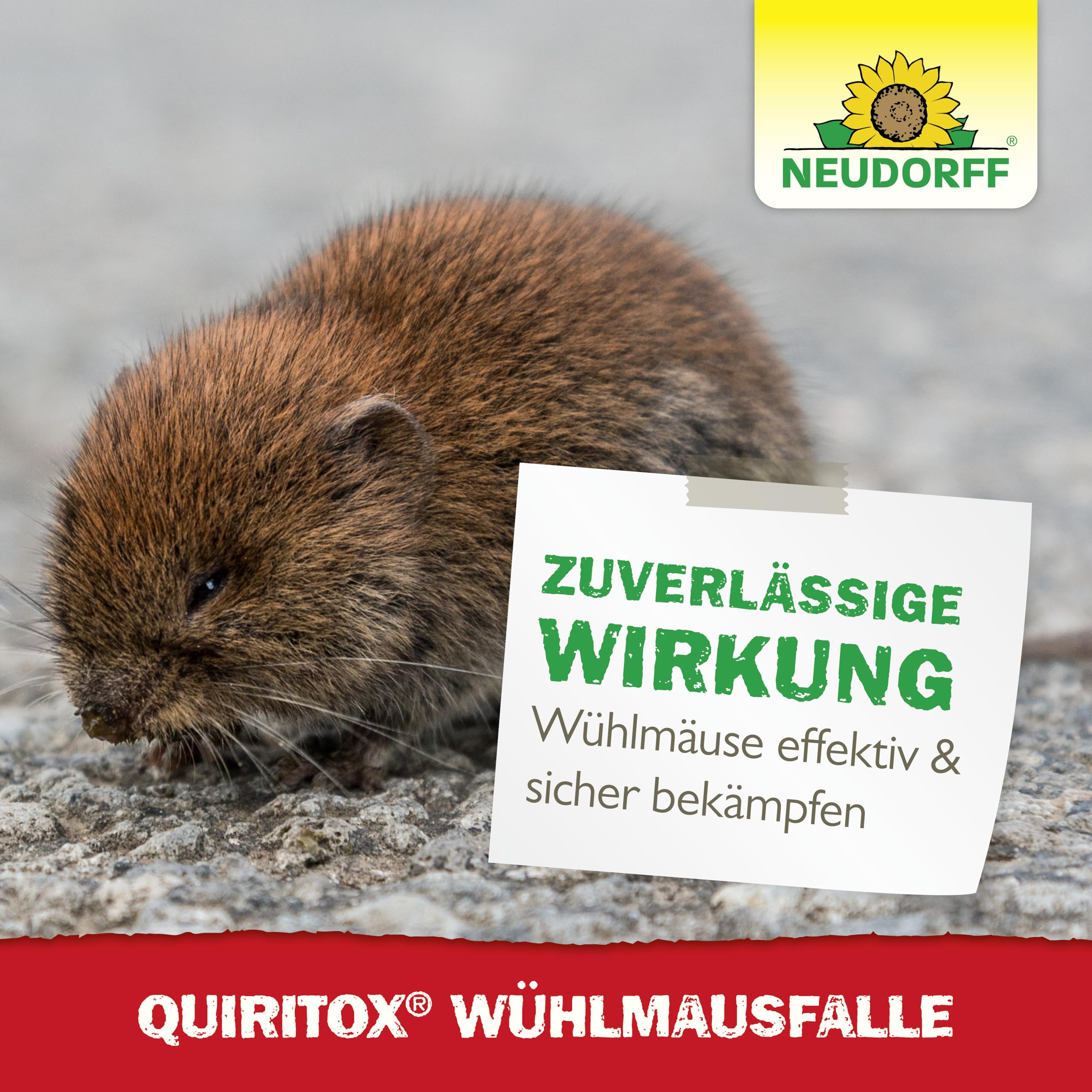 neudorff-quiritox-w-hlmausfalle-wiederverwendbare-schlagfalle-mit-hoher-schlagkr image 7