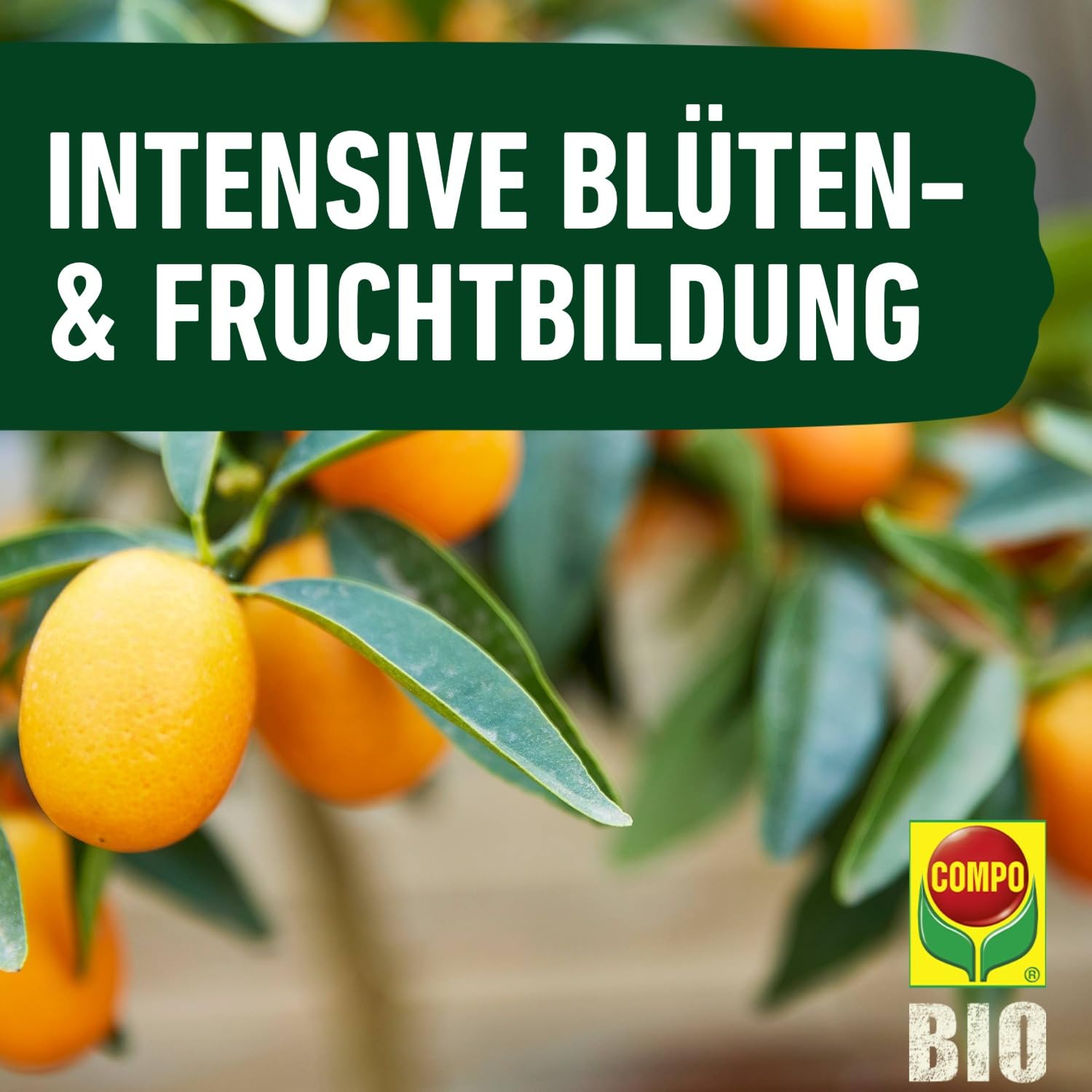 compo-bio-zitruspflanzend-nger-spezial-fl-ssigd-nger-500-ml image 7