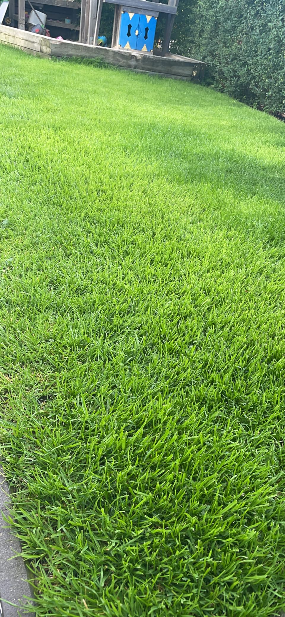 Solide für große Flächen