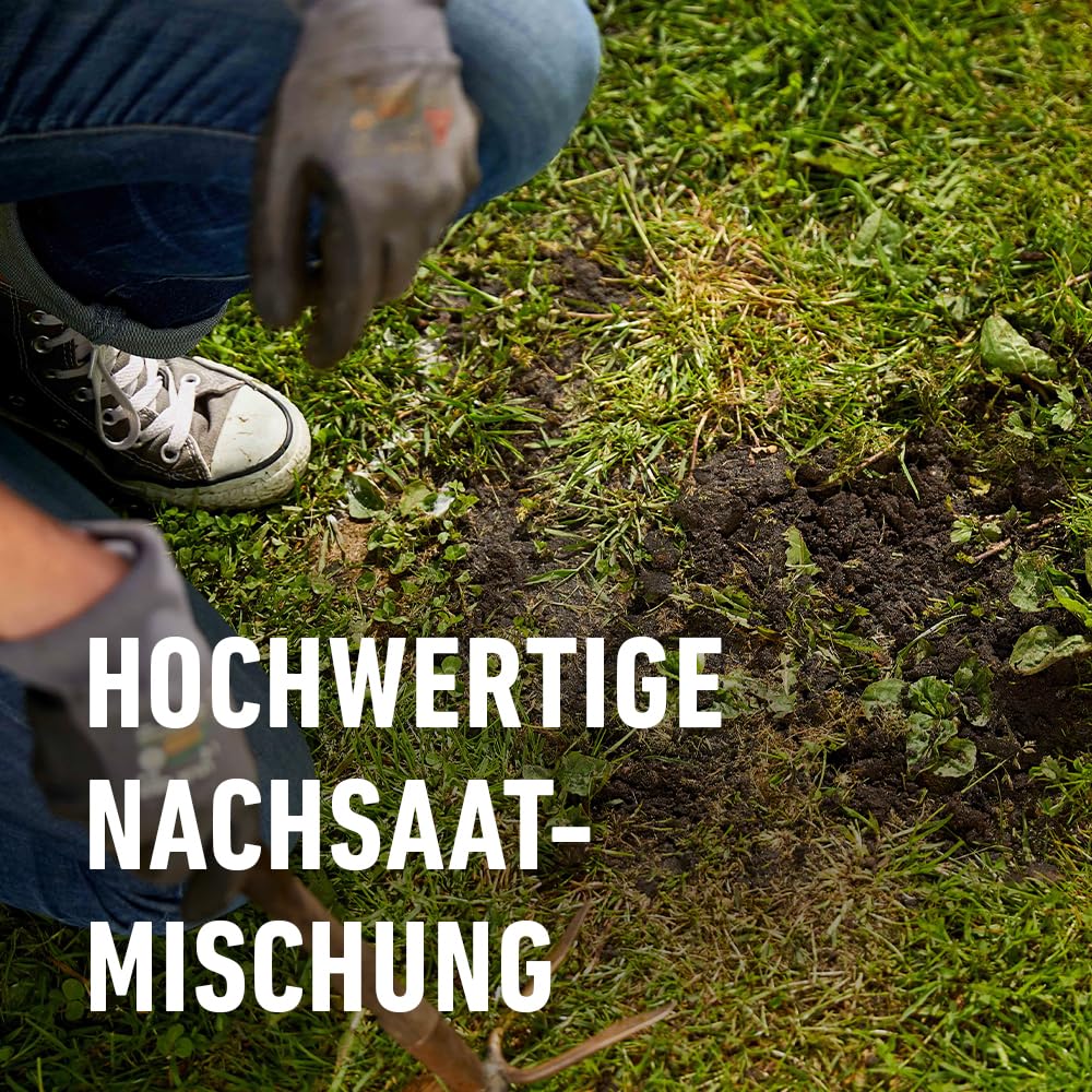 compo-saat-nachsaat-rasen-2-kg-f-r-100-m-schnellkeimende-rasensamen image 4