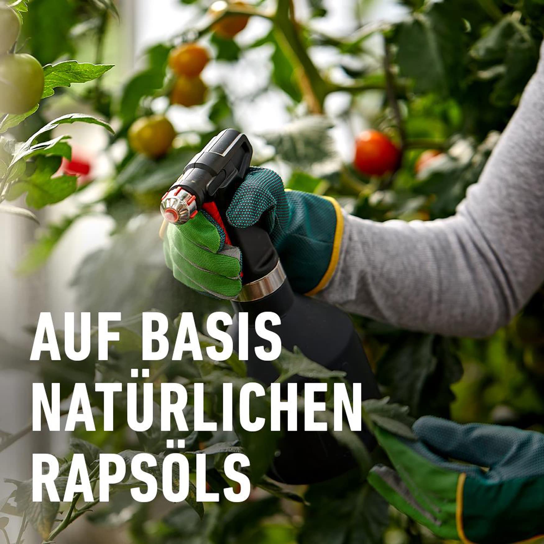 compo-sch-dlings-frei-plus-konzentrat-100-ml-insektizid-gegen-blattl-use-wolll-u image 5