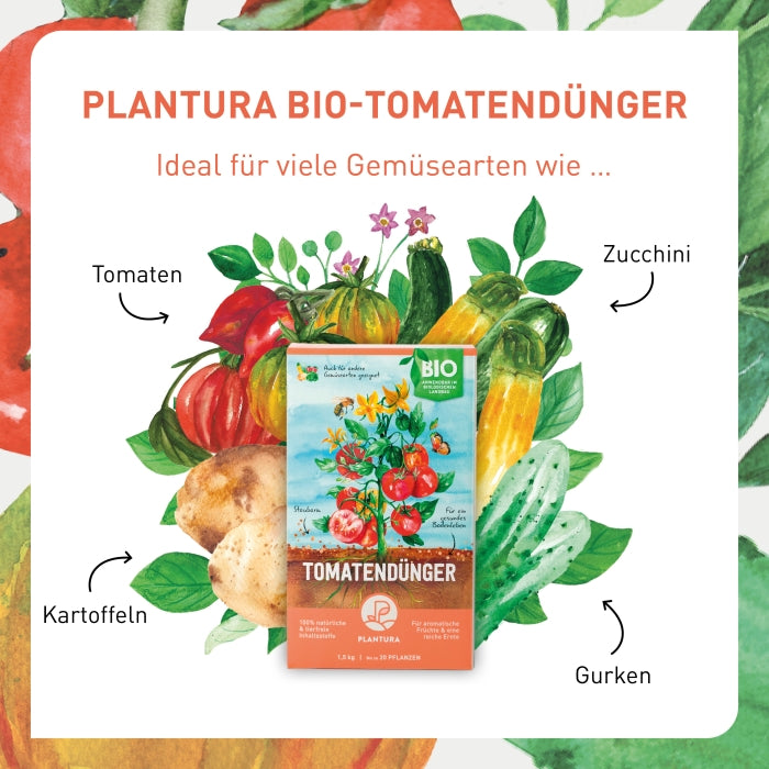 plantura-bio-tomatend-nger-1-5-kg-organischer-langzeitd-nger image 3