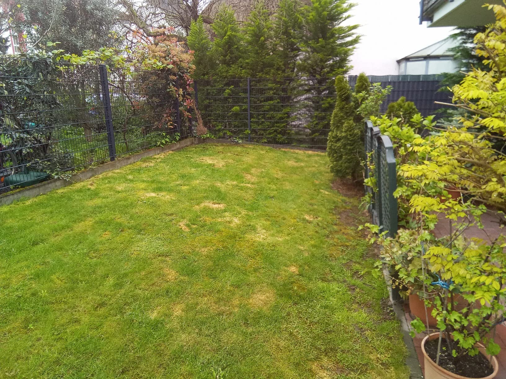 Nach einem Regen applied, super