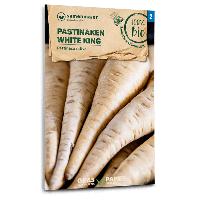 plantura-bio-pastinaken-white-king-bio-gem-sesaatgut image 1