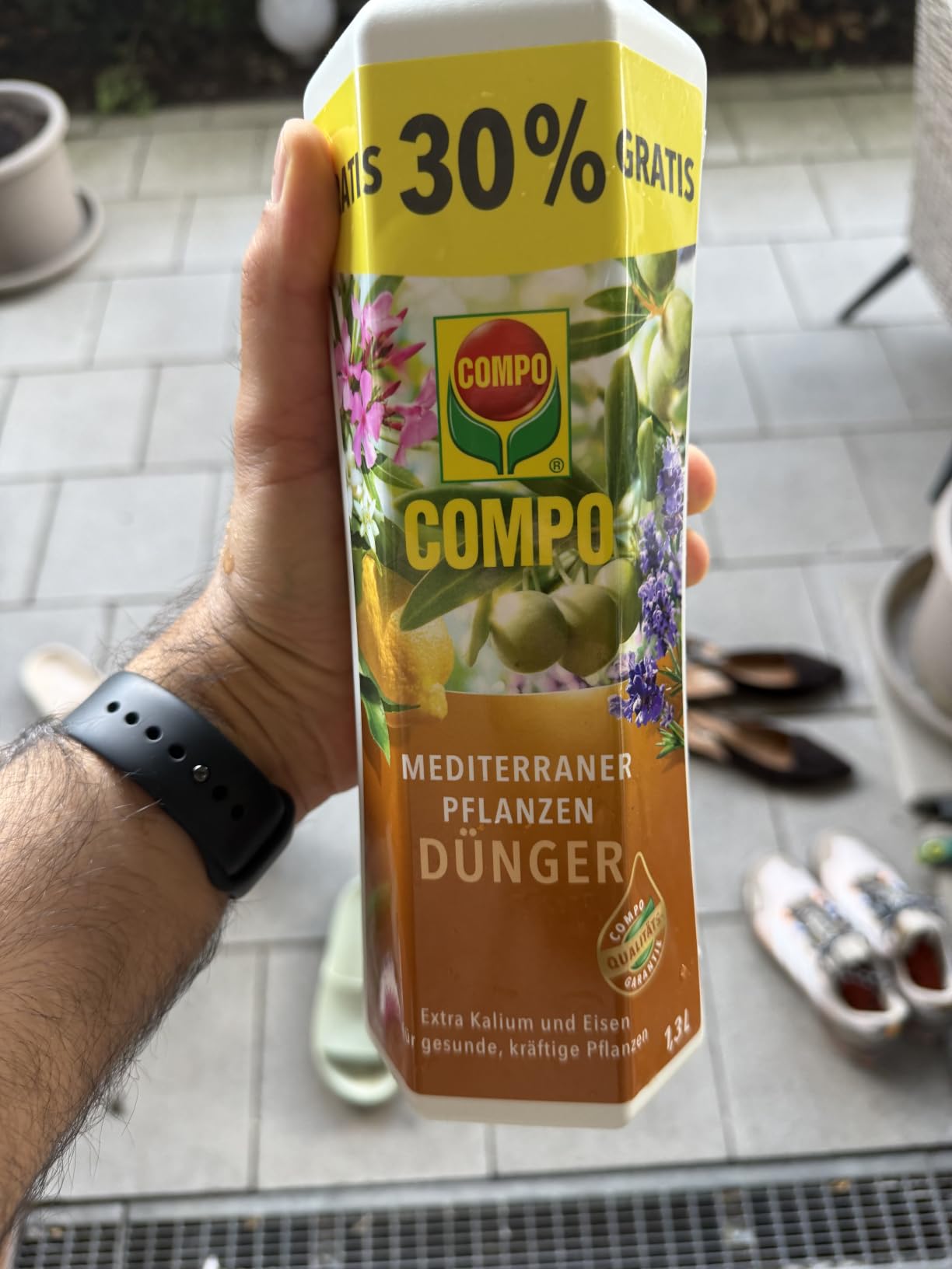 Oleander blüht wie verrückt