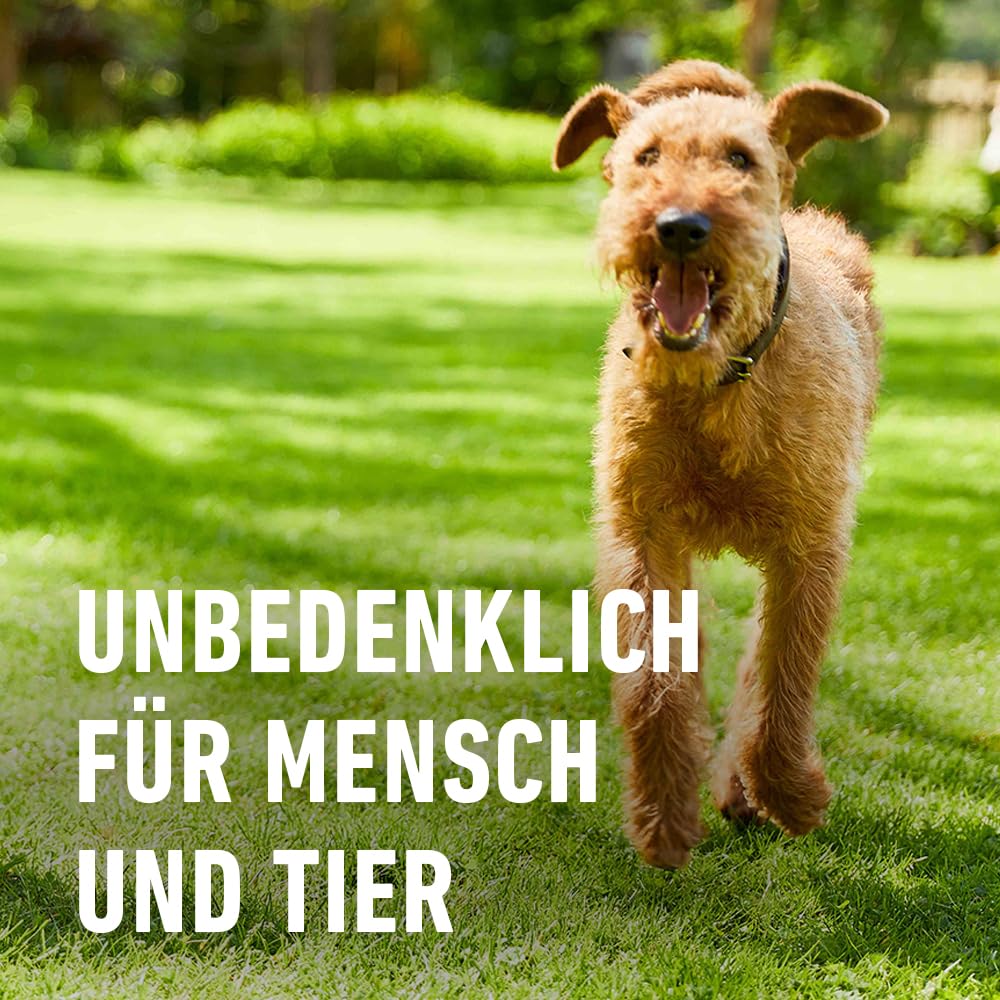 compo-bio-rasend-nger-20-kg-f-r-500-m-naturd-nger-mit-langzeitwirkung image 6